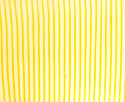 3D-Lenticular-sheets-Yellow-3D-stripes-0